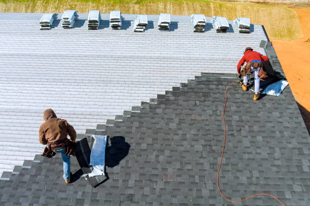 Best Roof Ventilation Installation  in Herculaneum, MO